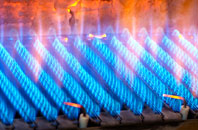 Alvington gas fired boilers